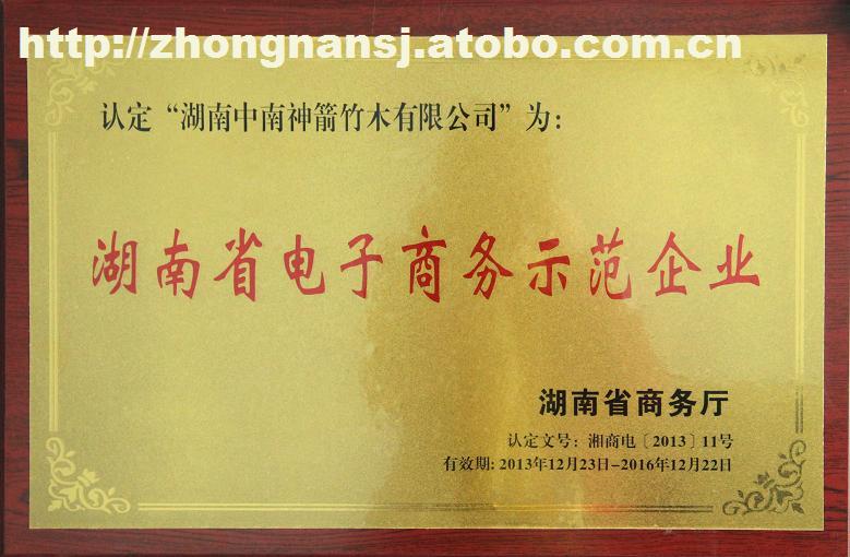 

電子商務(wù)示范標準企業(yè)規(guī)范及示范類型企業(yè)發(fā)展規(guī)范(圖2)