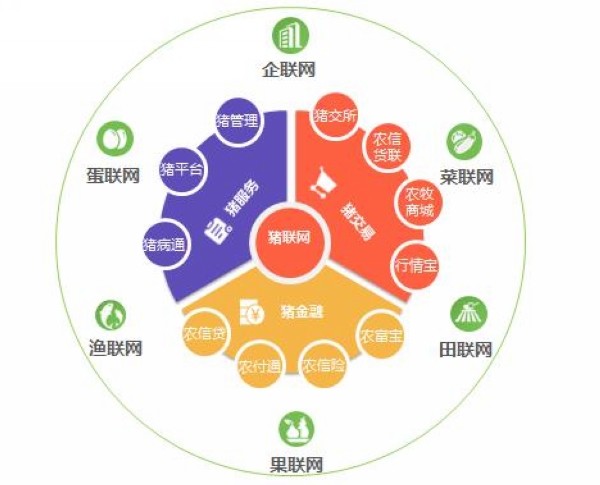 網(wǎng)站建設(shè)一是：2021年信息通信技術(shù)與經(jīng)濟(jì)社會(huì)各領(lǐng)域加快融合